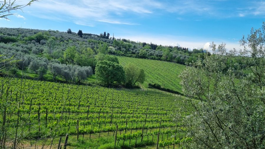 greve in chianti